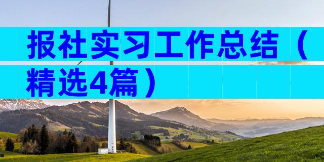 报社实习工作总结（精选4篇）