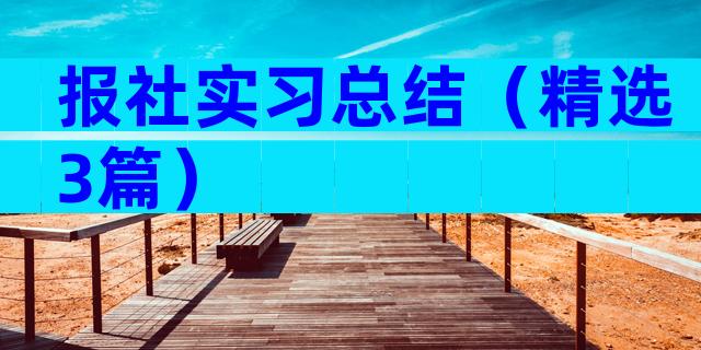 报社实习总结（精选3篇）