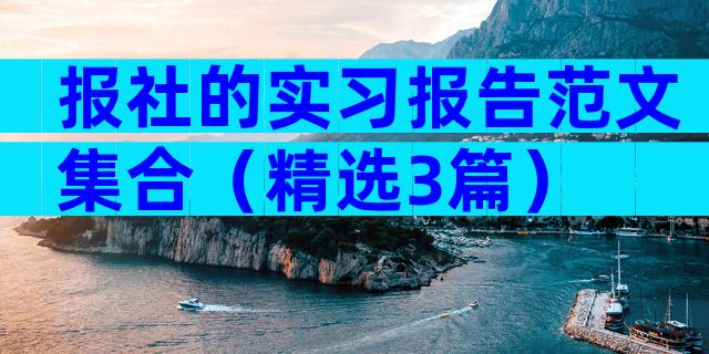 报社的实习报告范文集合（精选3篇）