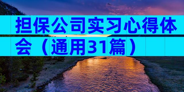 担保公司实习心得体会（通用31篇）
