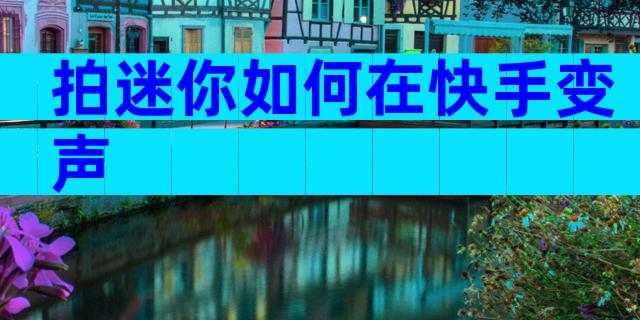 拍迷你如何在快手变声