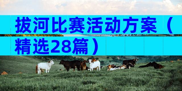 拔河比赛活动方案（精选28篇）