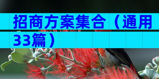招商方案集合（通用33篇）