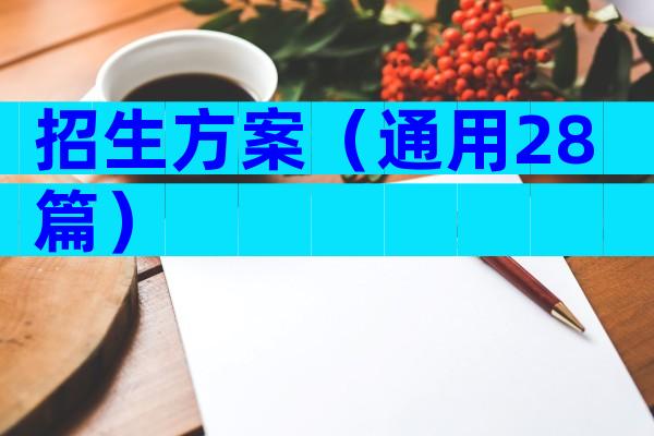 招生方案（通用28篇）
