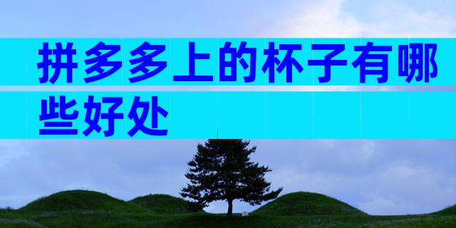 拼多多上的杯子有哪些好处