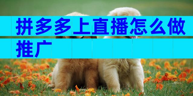 拼多多上直播怎么做推广
