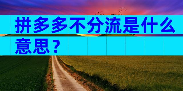 拼多多不分流是什么意思？