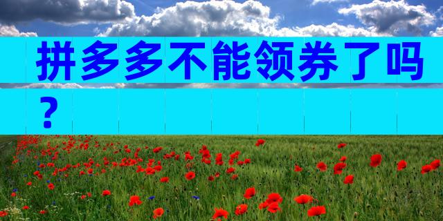 拼多多不能领券了吗？