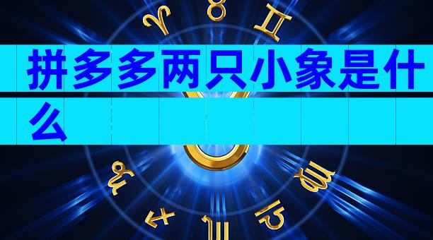 拼多多两只小象是什么