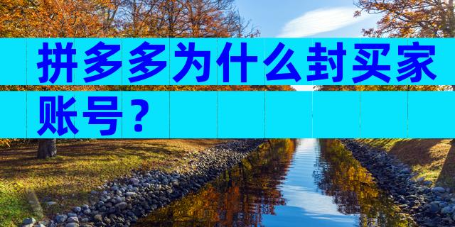拼多多为什么封买家账号？