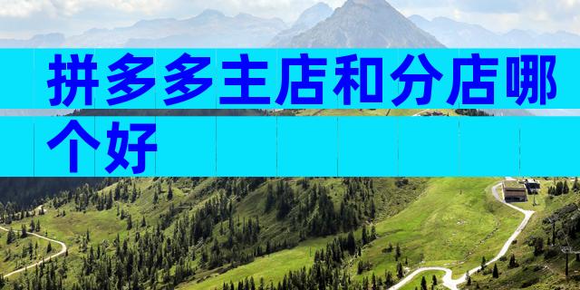 拼多多主店和分店哪个好