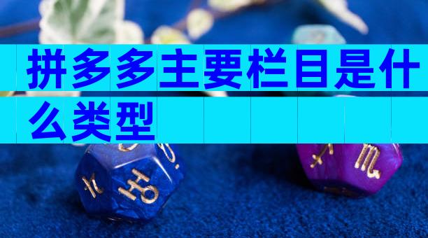 拼多多主要栏目是什么类型