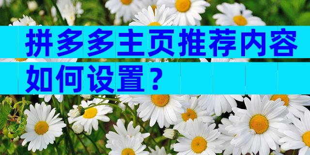 拼多多主页推荐内容如何设置？