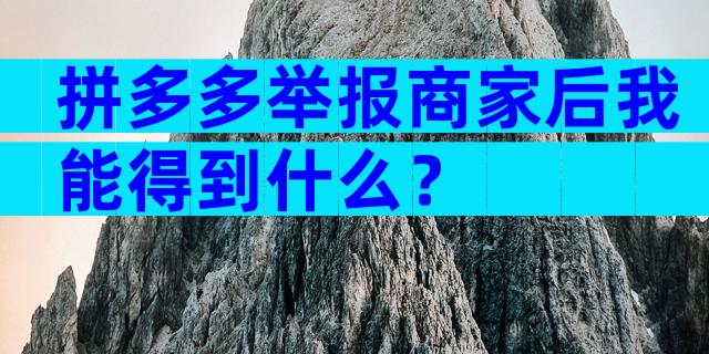 拼多多举报商家后我能得到什么？