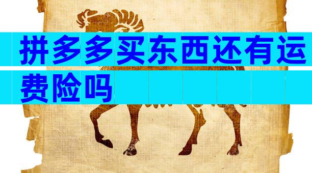 拼多多买东西还有运费险吗