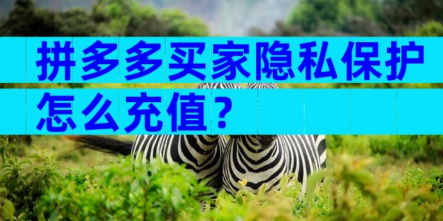 拼多多买家隐私保护怎么充值？