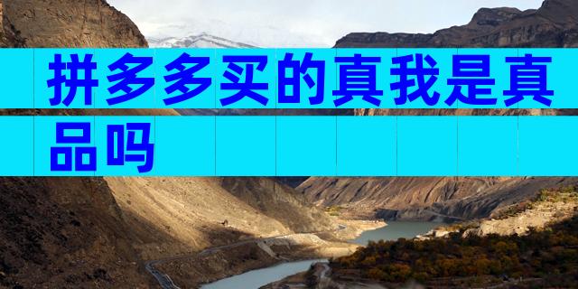 拼多多买的真我是真品吗