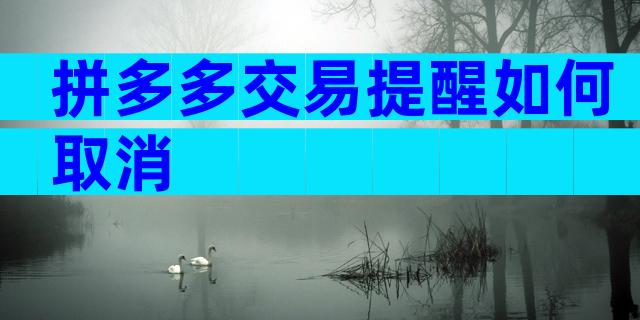 拼多多交易提醒如何取消