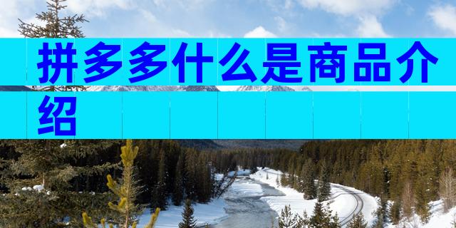 拼多多什么是商品介绍