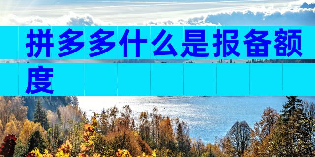 拼多多什么是报备额度