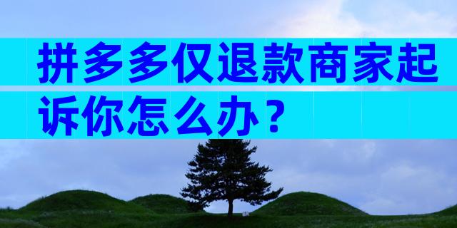 拼多多仅退款商家起诉你怎么办？