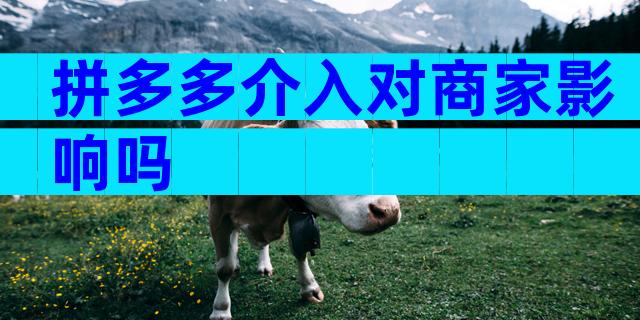 拼多多介入对商家影响吗