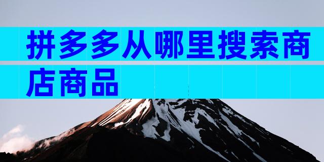 拼多多从哪里搜索商店商品