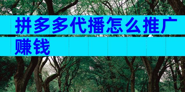 拼多多代播怎么推广赚钱