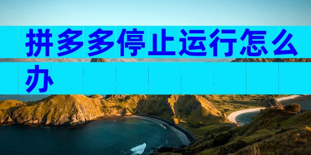 拼多多停止运行怎么办