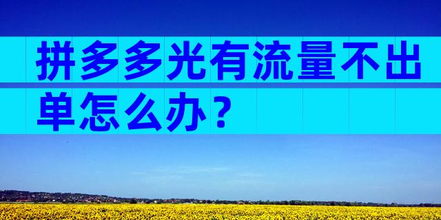 拼多多光有流量不出单怎么办？