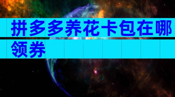 拼多多养花卡包在哪领券