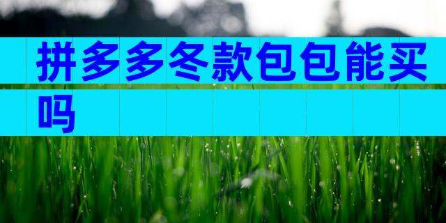 拼多多冬款包包能买吗