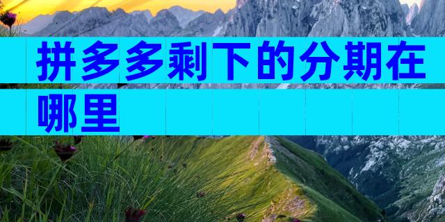 拼多多剩下的分期在哪里