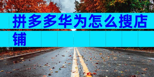 拼多多华为怎么搜店铺