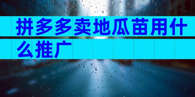 拼多多卖地瓜苗用什么推广