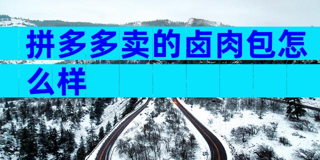 拼多多卖的卤肉包怎么样