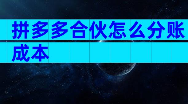 拼多多合伙怎么分账成本