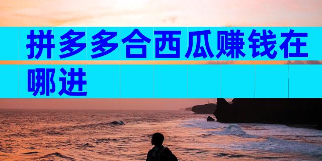 拼多多合西瓜赚钱在哪进