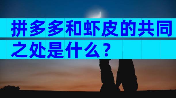 拼多多和虾皮的共同之处是什么？