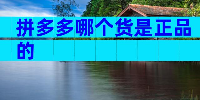 拼多多哪个货是正品的