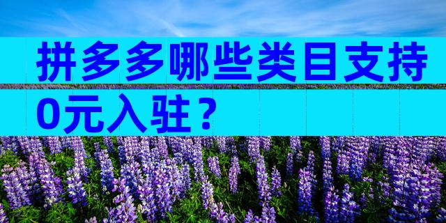拼多多哪些类目支持0元入驻？
