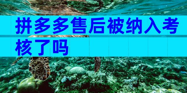 拼多多售后被纳入考核了吗