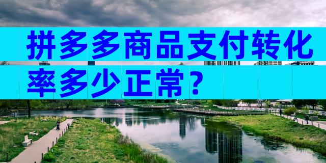 拼多多商品支付转化率多少正常？