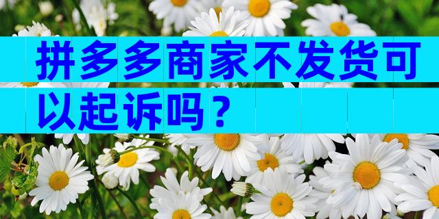 拼多多商家不发货可以起诉吗？