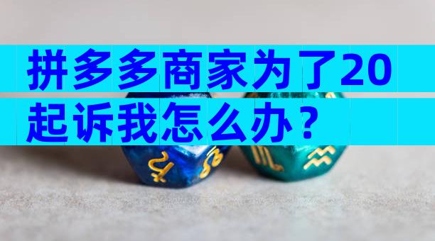 拼多多商家为了20起诉我怎么办？