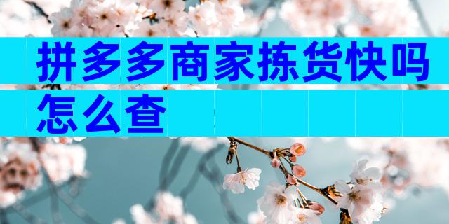 拼多多商家拣货快吗怎么查