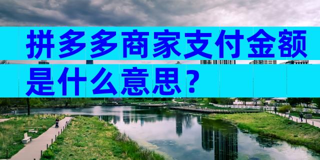 拼多多商家支付金额是什么意思？