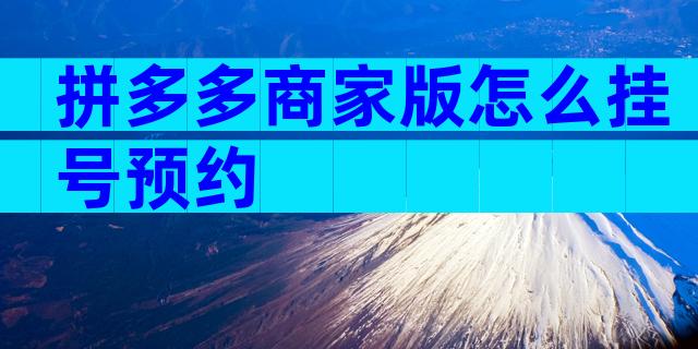 拼多多商家版怎么挂号预约