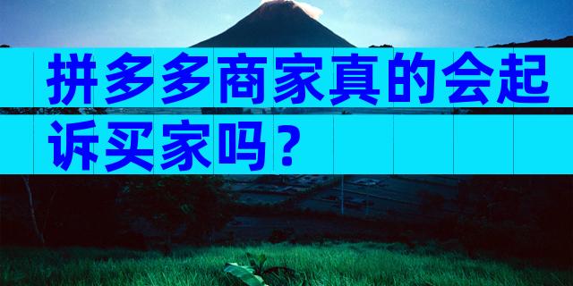 拼多多商家真的会起诉买家吗？