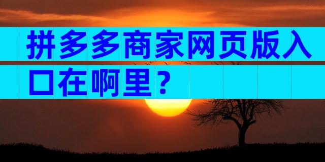 拼多多商家网页版入口在啊里？